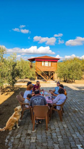 Oli Camping & Bungalows